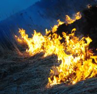 Вчера сотрудникам горспаса удалось оперативно локализовать и ликвидировать загорание травы на Кумысной поляне