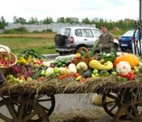 Агропромышленные предприятия области готовятся к «Золотой осени»